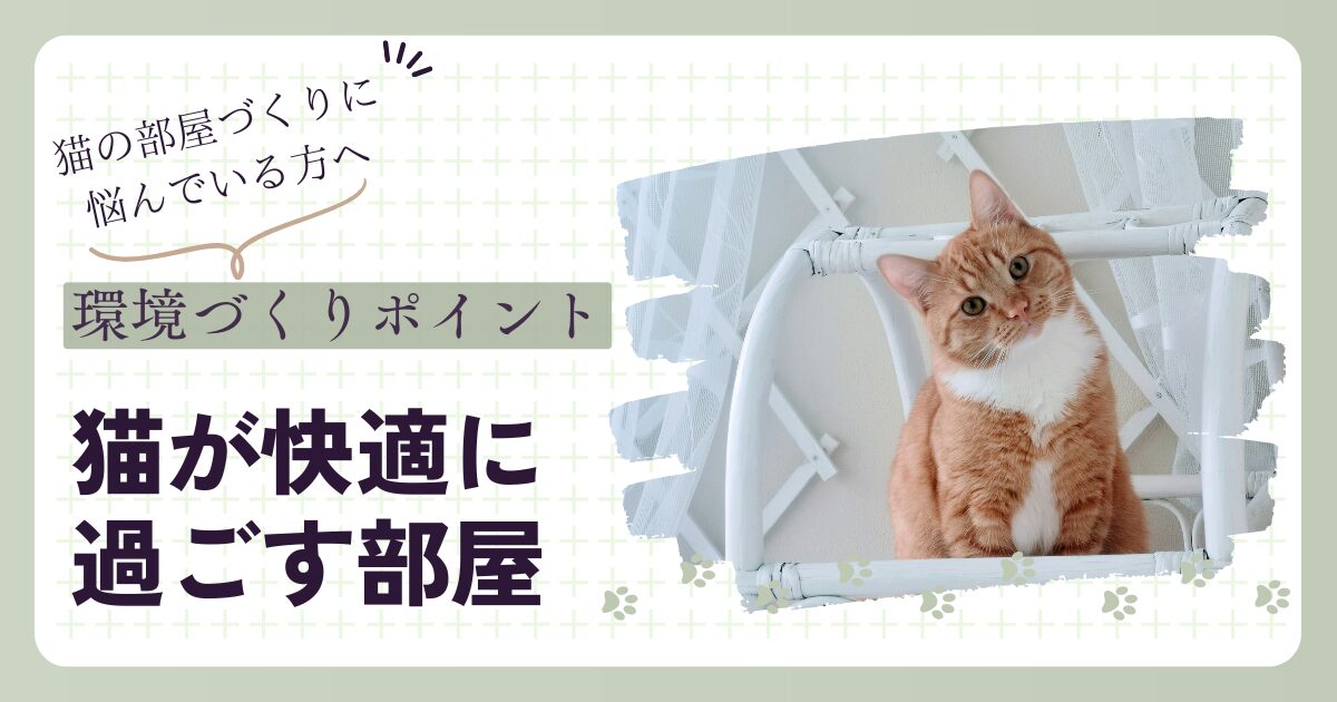 猫が快適に過ごせる部屋環境のイメージ